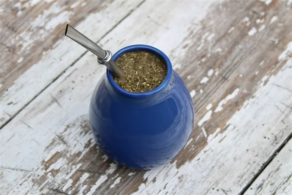蜘蛛植物を茂らせる7つの簡単な方法