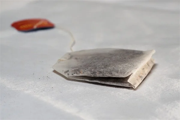 治療効果のある観葉植物7選｜安全に使うための5つのルール