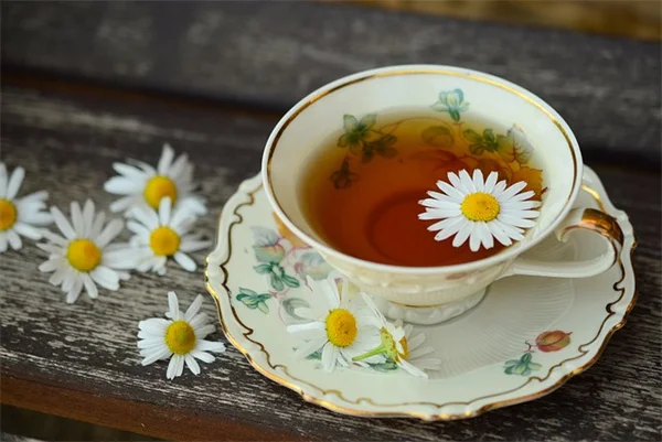 カフェインレスコーヒー代替品3選：庭で育てて体に優しい朝の一杯を