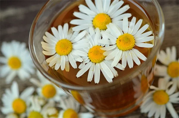 8月のガーデニング、必ずやるべき5つの作業と収穫のコツ