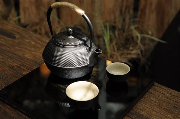 秋の香りを閉じ込める！シナモン香るコンテナガーデンの作り方